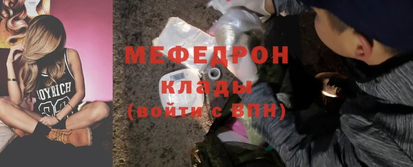 индика Козельск