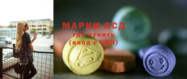 индика Козельск