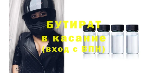 индика Козельск