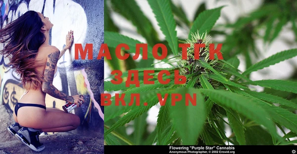индика Козельск