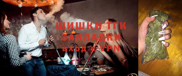 индика Козельск