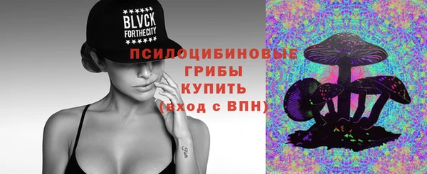 мет Коряжма