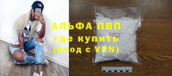 индика Козельск