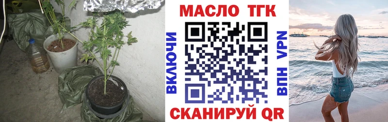 ТГК Wax  Купить  Ершов 